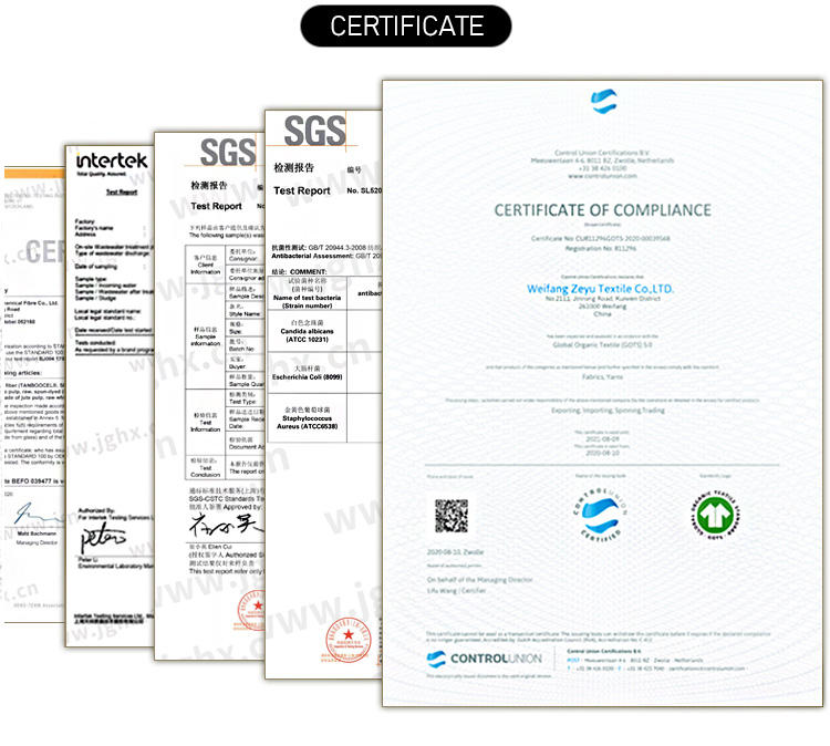 Men's T-Shirt - 100% Organic Cotton